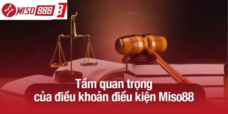 Tầm quan trọng của điều khoản điều kiện Miso88